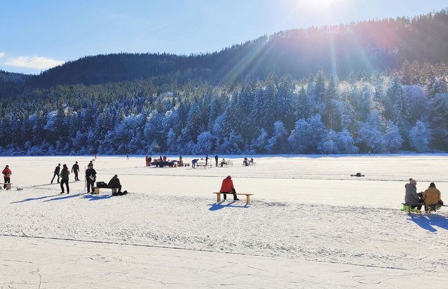 Wellness Apartment Keutschach Lakes Valley - Photo 17