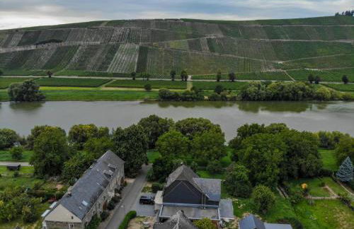 FeWo Freis in Brauneberg - Foto 48