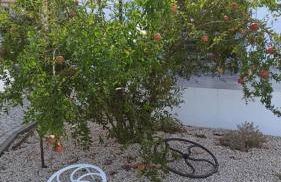 Casa do Chão do Cruzeiro - Foto 26