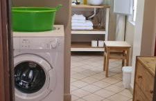 Musa Paradisiaca - Foto 28