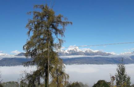 Casa Rosetta - Foto 43