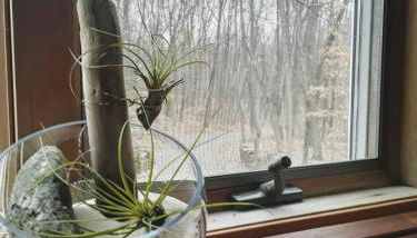 Copake Lakes Hidden Treasure - Foto 3