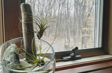 Copake Lakes Hidden Treasure - Foto 3