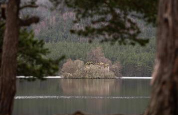 50TheHighstreet by The House of Danu - Foto 14