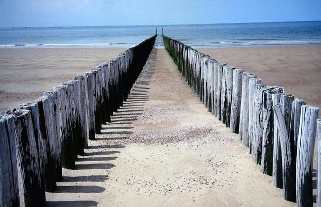 Sunny Zeeland Getaway - Photo 21