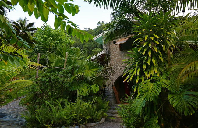 Citrus Creek Plantation - Photo 30