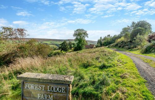 Coltus Lands - Photo 14