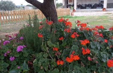 CASA RURAL LA HOJA EL VALLE - Foto 41