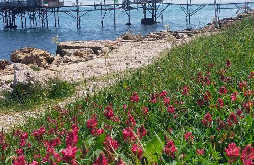 Villa Vista Mare - Foto 48