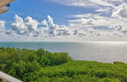 Sunshine Paradise Key Largo Ocean Pointe 4402 - Foto 23