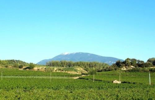 Vacances Vaison la Romaine - Photo 10