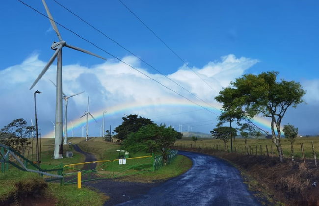Vistas del Tenorio - Photo 11