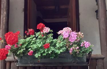 Soggiorno Vacanze Stella Alpina - Foto 29