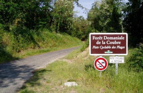 Maison RONCE LES BAINS - Foto 39