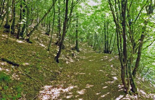 Locanda Le Panche - Foto 78