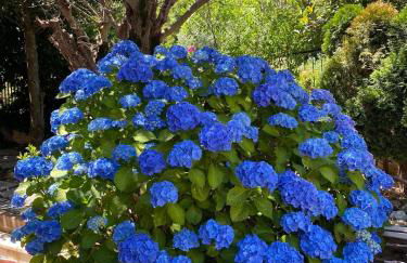 Villa GREG stupenda casa sulla spiaggia con accesso diretto al mare - Foto 24