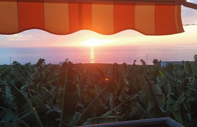 Trébol "trail Mountain La Palma" Vistas Al Mar - Foto 1