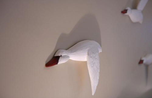 Seagulls' House - Foto 11