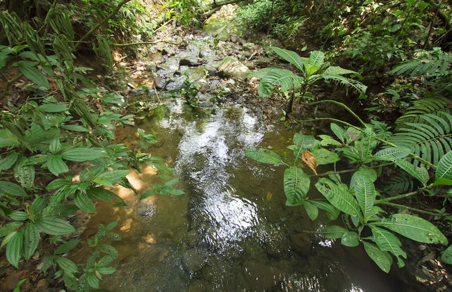 Villas Josipek - Foto 70