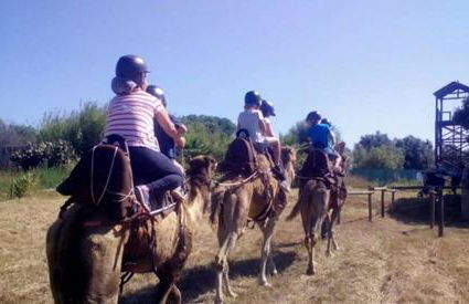 Casa da Matriz - Foto 104