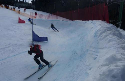 Haus Pfaff - Photo 8