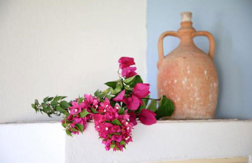 Casa Pompelmo - Foto 66