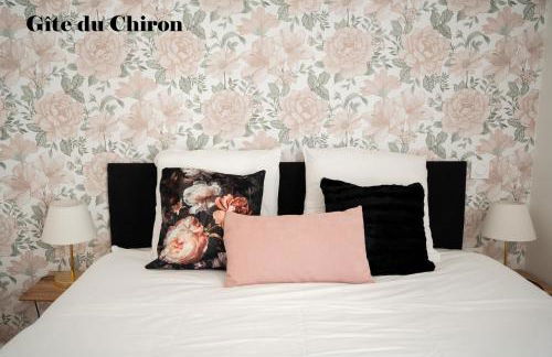 Maison de la Rochejaquelein - Photo 9