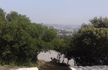 Cabeço dos Três Moinhos - Foto 33