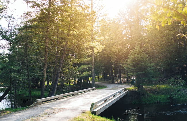 Nature's Beauty Loft Forks River Lodge - Foto 41