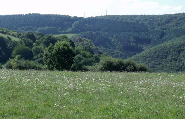 Lovely Apartment in Kirn - Foto 15