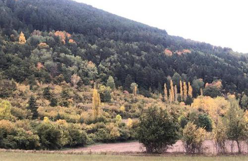 Rincon de Pepo - Foto 19