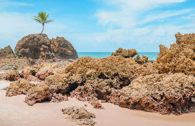 Tour della costa meridionale del Paraíba in buggy - Foto 6
