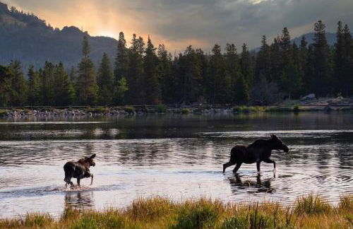 The Broadmeadow Cabin - VR-25-0005 cabin - Photo 58