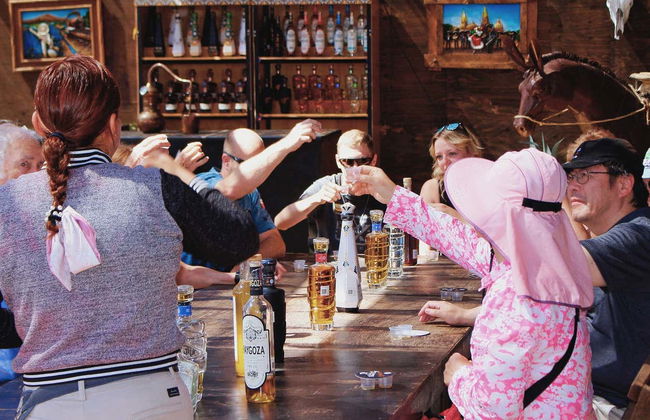 Cabo San Lucas Tour - Foto 7