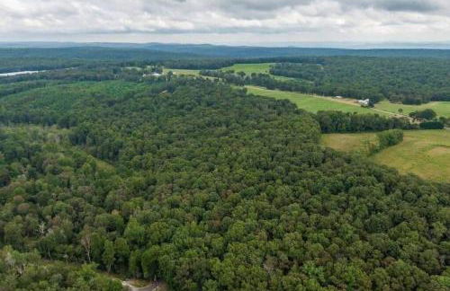 Peaceful Hideaway Treehouse near Little River Canyon - Foto 19
