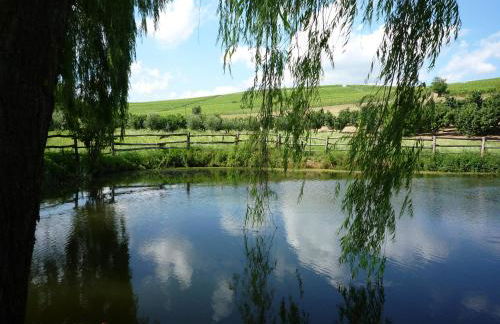 La Vigna Del Parroco - Foto 41