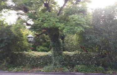 Il casale Falagario Stacca - Foto 10