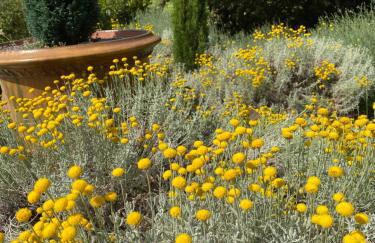 LES SANTOLINES - Studio Retro - Foto 19