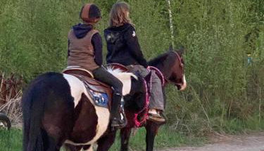 Rancho „Czajone na pigwowcu” - Foto 3