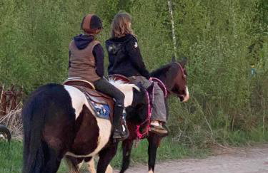 Rancho „Czajone na pigwowcu” - Foto 3