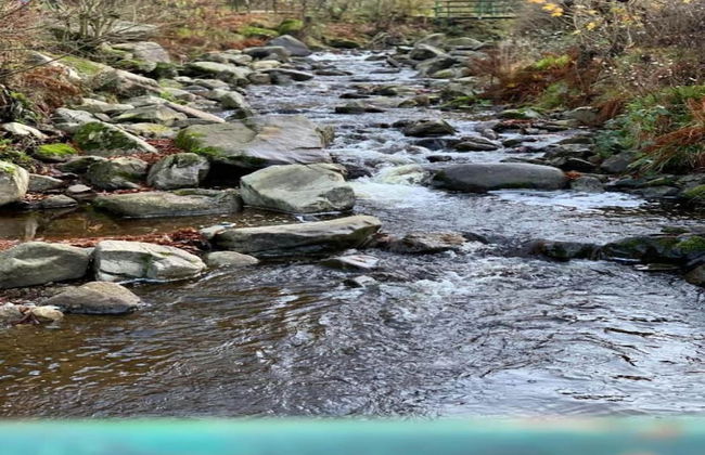 Stylish Retreat in Harz - Foto 27