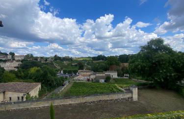 La Madeleine, nichée au cœur de Saint-Émilion - Foto 12