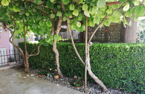 Apartments Vintijan - Foto 42