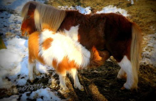 CASA RURAL Urruska - Foto 58