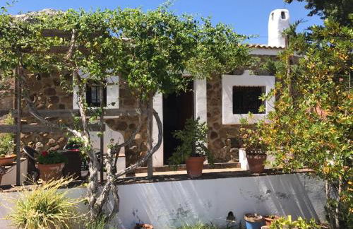 Cortijo Nuevo Alojamiento Rural - Foto 5