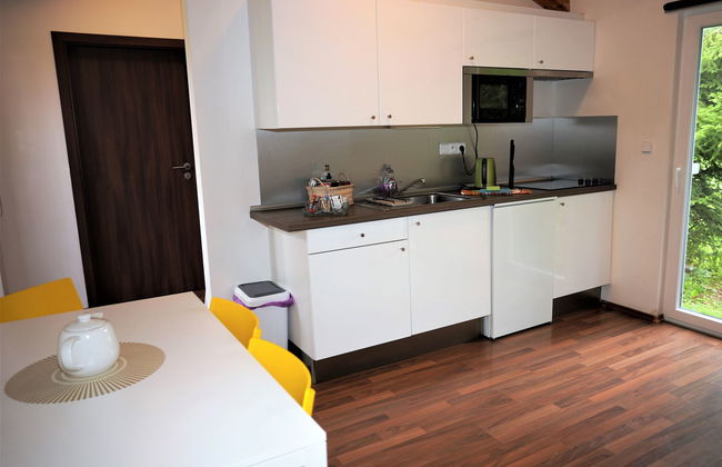 Pod Liščím kopcem 2+2 hot tube - Photo 8