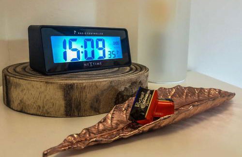 Healthy Flat Bologna - Tower Skyline View - Photo 40