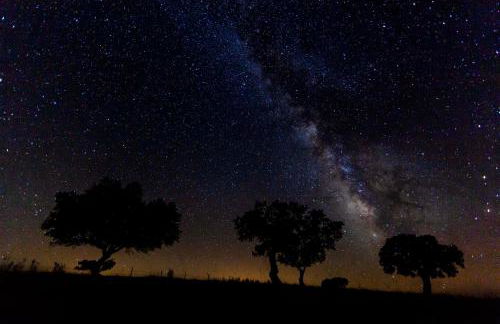 Monte Vale - Nature Resort - Foto 65