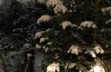 Saarlouis Innenstadt im Grünen - Foto 38