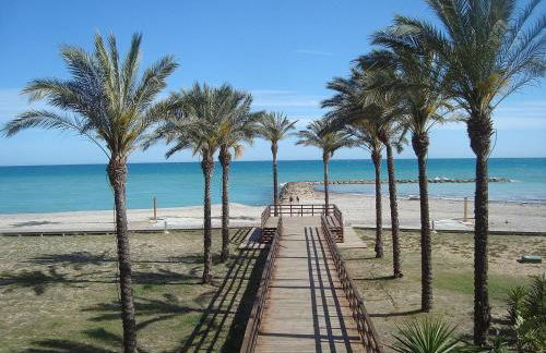 Pine Horizon Family - Photo 20